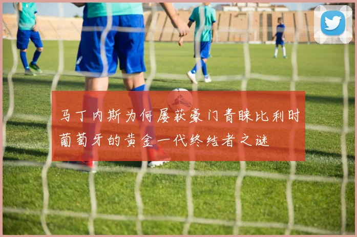 马丁内斯为何屡获豪门青睐比利时葡萄牙的黄金一代终结者之谜