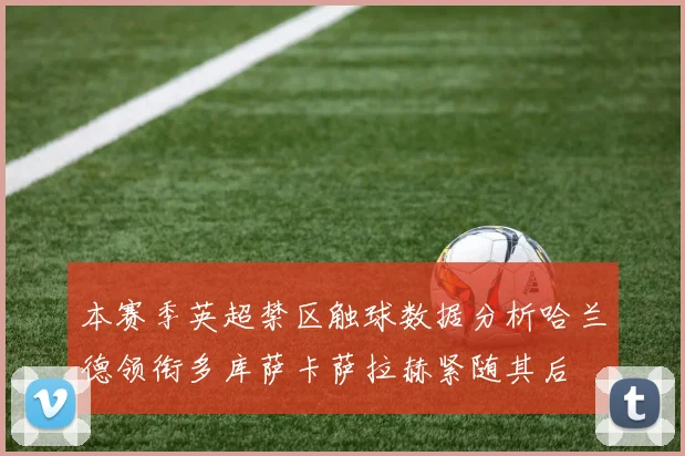 本赛季英超禁区触球数据分析哈兰德领衔多库萨卡萨拉赫紧随其后