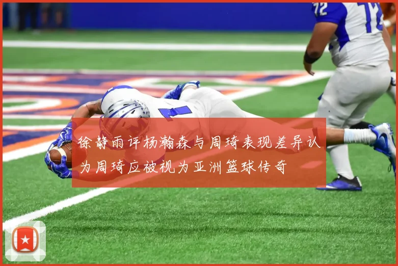 徐静雨评杨瀚森与周琦表现差异认为周琦应被视为亚洲篮球传奇